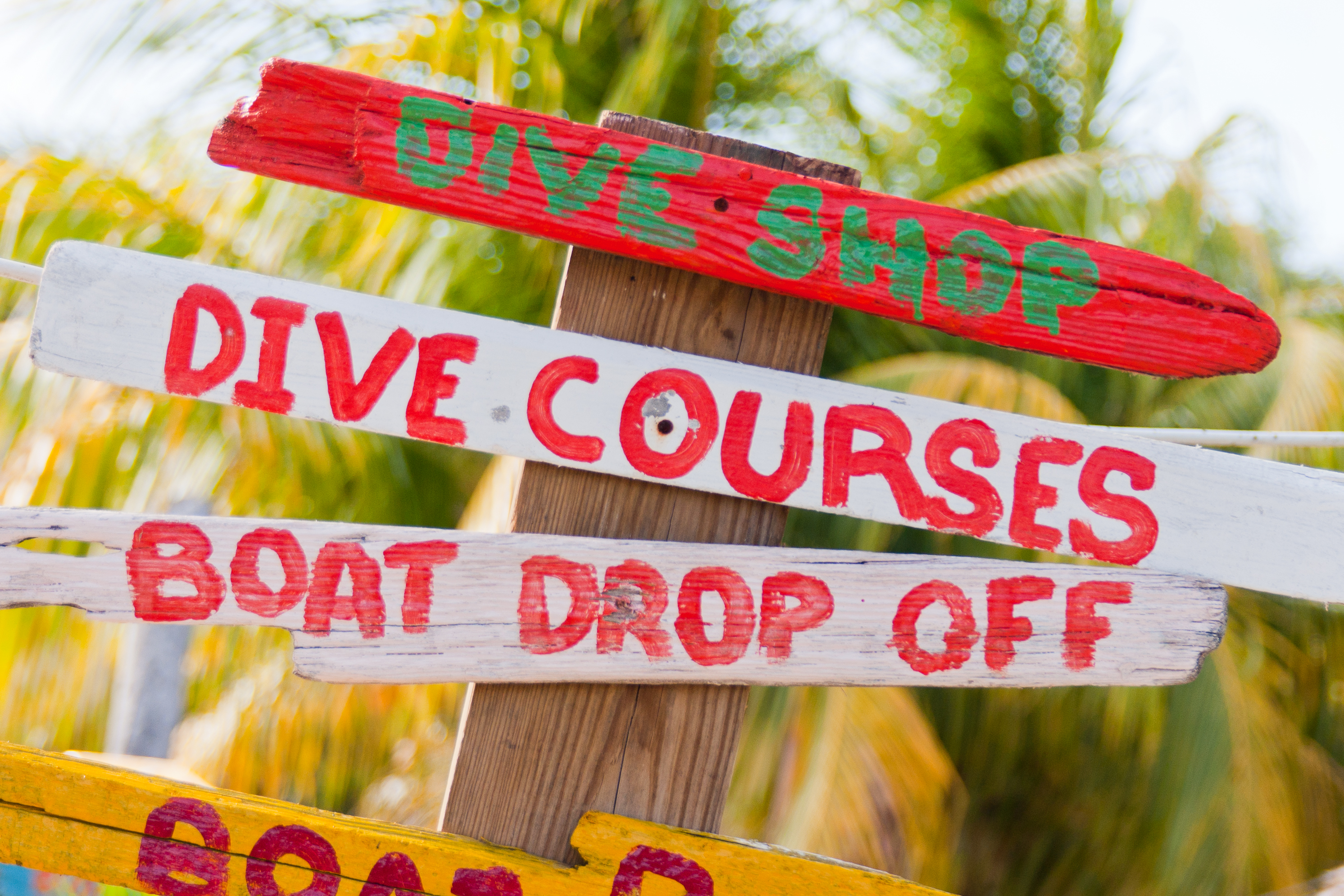 Bonaire's Best Dive and Snorkel Spots