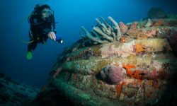 Bonaire’s Best Dive and Snorkel Spots