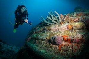 Read more about the article De Beste Dive & Snorkel Spots op Bonaire
