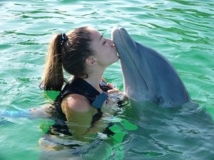 Read more about the article Swimming with Dolphins