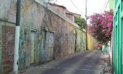 Dushi Walks Curacao: Wandelen door Willemstad
